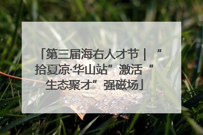 第三届海右人才节｜“拾夏凉·华山站”激活“生态聚才”强磁场