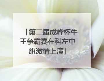 第二届成峰杯牛王争霸赛在科左中旗激情上演