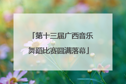 第十三届广西音乐舞蹈比赛圆满落幕
