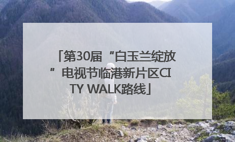 第30届“白玉兰绽放”电视节临港新片区CITY WALK路线