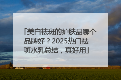 美白祛斑的护肤品哪个品牌好？2025热门祛斑水乳总结，真好用