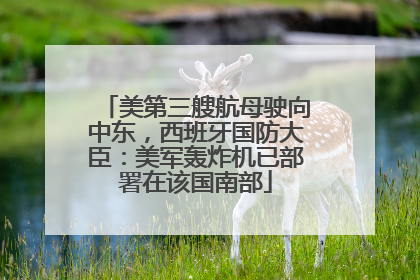 美第三艘航母驶向中东，西班牙国防大臣：美军轰炸机已部署在该国南部