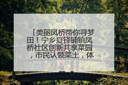 美丽凤桥带你寻梦田！宁乡夏铎铺镇凤桥社区创新共享菜园，市民认领菜土，体验耕种收获乐趣