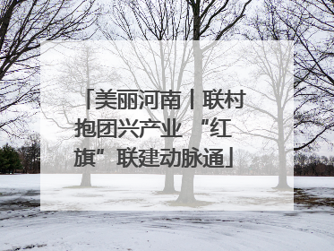 美丽河南丨联村抱团兴产业 “红旗”联建动脉通