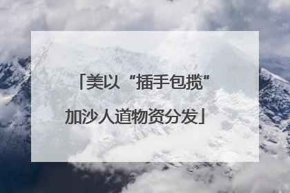 美以“插手包揽”加沙人道物资分发