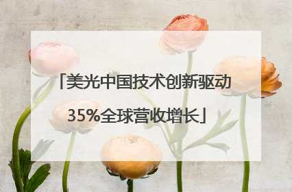 美光中国技术创新驱动35%全球营收增长