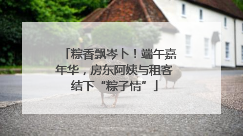 粽香飘岑卜！端午嘉年华，房东阿姨与租客结下“粽子情”