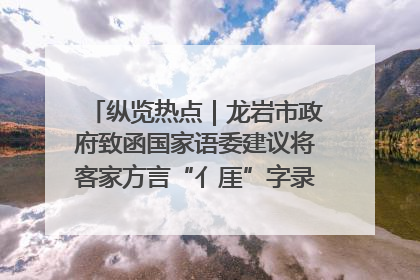 纵览热点｜龙岩市政府致函国家语委建议将客家方言“亻厓”字录入《新华字典》引发热议，当地回应