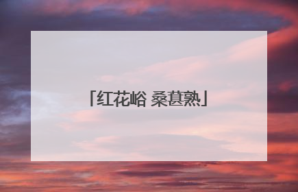 红花峪 桑葚熟