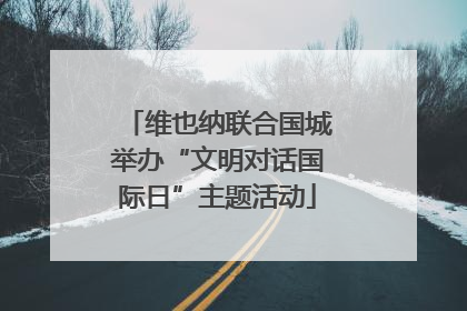 维也纳联合国城举办“文明对话国际日”主题活动