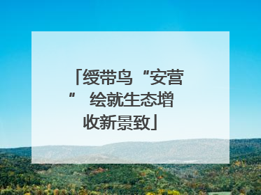 绶带鸟“安营” 绘就生态增收新景致
