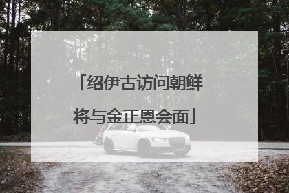 绍伊古访问朝鲜 将与金正恩会面