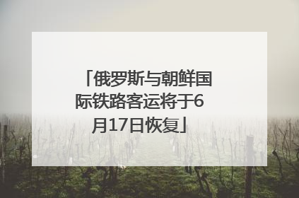 俄罗斯与朝鲜国际铁路客运将于6月17日恢复