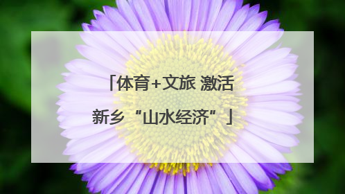体育+文旅 激活新乡“山水经济”