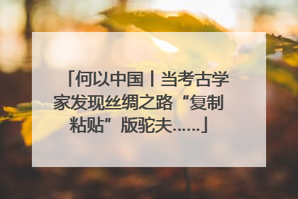 何以中国丨当考古学家发现丝绸之路“复制粘贴”版驼夫……