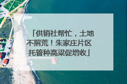 供销社帮忙，土地不撂荒！朱家庄片区托管种高粱促增收
