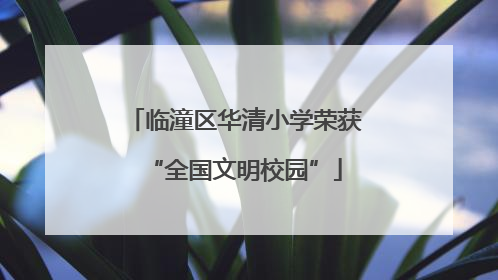 临潼区华清小学荣获“全国文明校园”