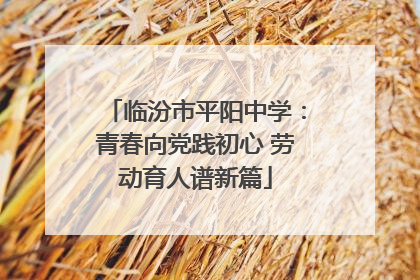 临汾市平阳中学：青春向党践初心 劳动育人谱新篇