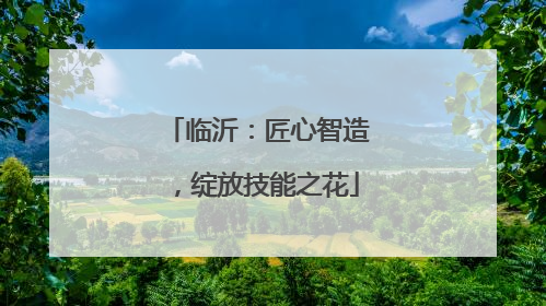 临沂：匠心智造，绽放技能之花