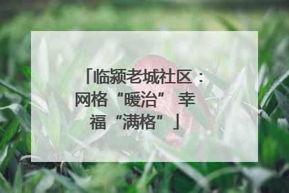临颍老城社区：网格“暖治” 幸福“满格”