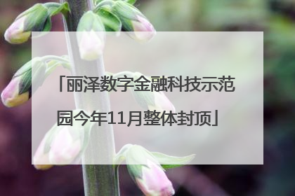 丽泽数字金融科技示范园今年11月整体封顶