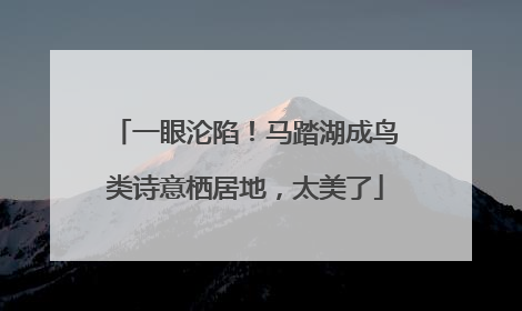 一眼沦陷！马踏湖成鸟类诗意栖居地，太美了