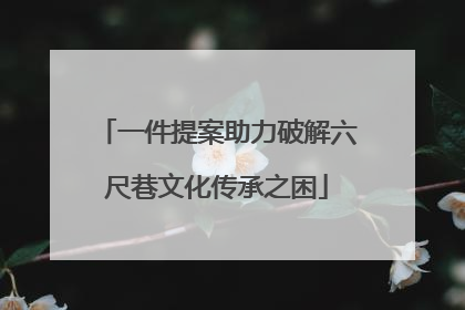 一件提案助力破解六尺巷文化传承之困