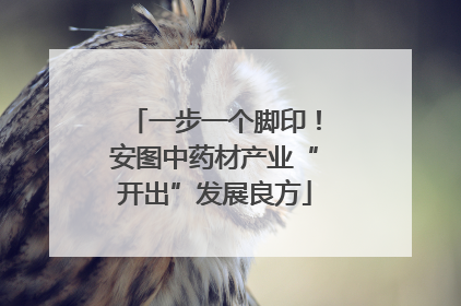 一步一个脚印！安图中药材产业“开出”发展良方