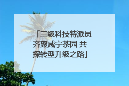 三级科技特派员齐聚咸宁茶园 共探转型升级之路