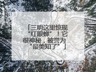 三明这里惊现“红眼蝉”！它很神秘，被誉为“最美知了”