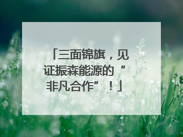 三面锦旗，见证振森能源的“非凡合作”！