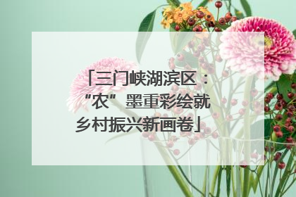 三门峡湖滨区：“农”墨重彩绘就乡村振兴新画卷