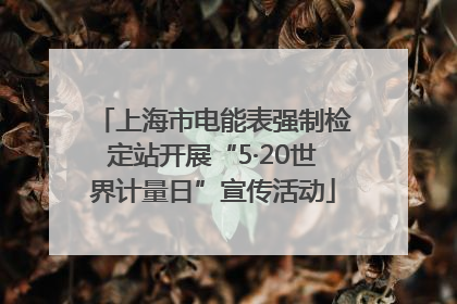 上海市电能表强制检定站开展“5·20世界计量日”宣传活动