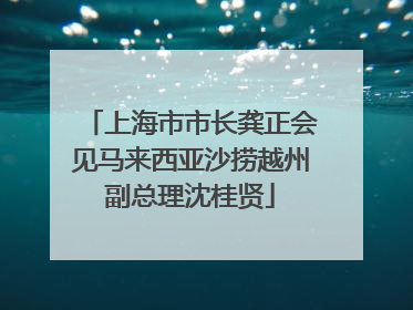 上海市市长龚正会见马来西亚沙捞越州副总理沈桂贤