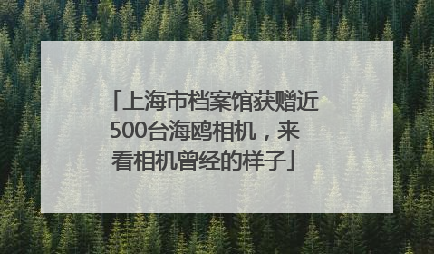上海市档案馆获赠近500台海鸥相机，来看相机曾经的样子