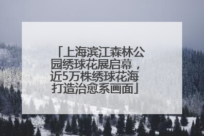 上海滨江森林公园绣球花展启幕，近5万株绣球花海打造治愈系画面