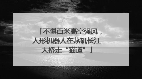 不惧百米高空强风，人形机器人在燕矶长江大桥走“猫道”