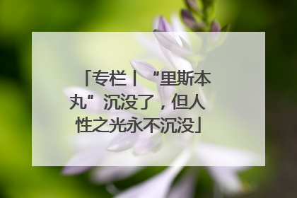专栏丨“里斯本丸”沉没了，但人性之光永不沉没