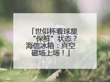 世俱杯看球星“保鲜”状态？海信冰箱：真空磁场上场！