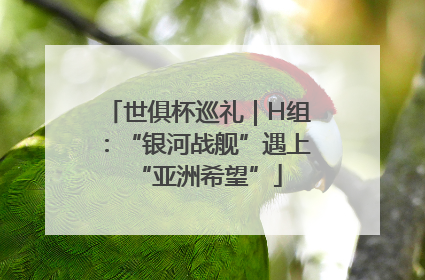世俱杯巡礼｜H组：“银河战舰”遇上“亚洲希望”