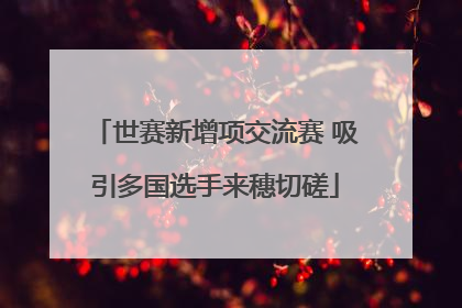 世赛新增项交流赛 吸引多国选手来穗切磋