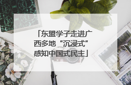 东盟学子走进广西多地“沉浸式”感知中国式民主