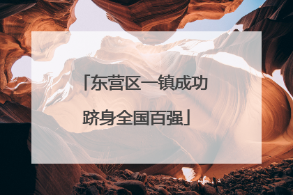东营区一镇成功跻身全国百强