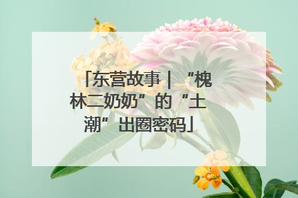 东营故事｜“槐林二奶奶”的“土潮”出圈密码