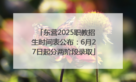 东营2025职教招生时间表公布：6月27日起分两阶段录取