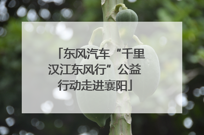 东风汽车“千里汉江东风行”公益行动走进襄阳