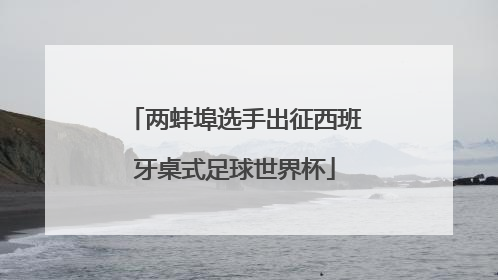 两蚌埠选手出征西班牙桌式足球世界杯