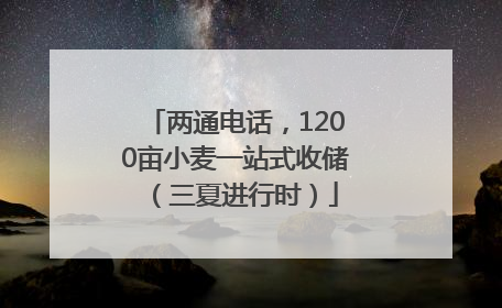 两通电话，1200亩小麦一站式收储（三夏进行时）