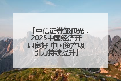 中信证券邹迎光：2025中国经济开局良好 中国资产吸引力持续提升