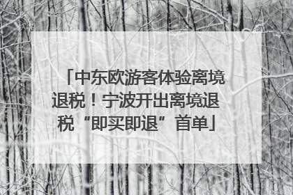 中东欧游客体验离境退税！宁波开出离境退税“即买即退”首单